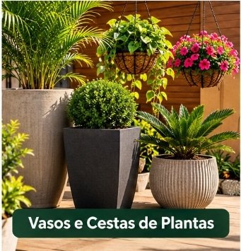 Vasos e Cestas de Plantas