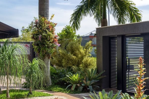 jardim-tropical-mix-folhagens-texturas-vegetacao-horto-girassol-credito-mca-estudio-3